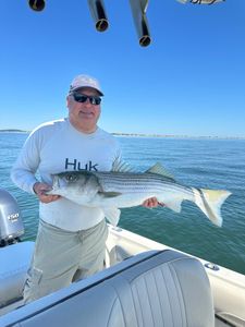 First fish on first mackerel on new boat