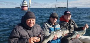 Anglers Caught Striped Bass