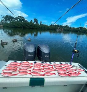 Half-Day Success: Vermillion Snapper Limit + Porgy