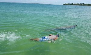 Snorkeling in Florida