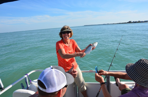 Bluefish Fishing in Florida