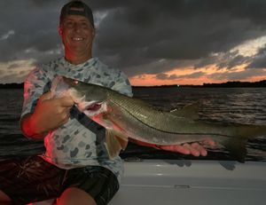 Snook Bites Heating Up Inshore