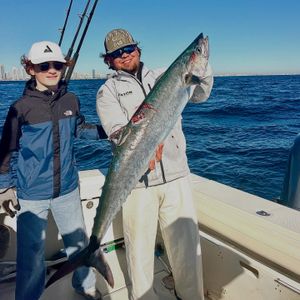 Kite Bite Kingfish Success