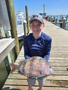 Reeling in the Catch of a Lifetime: Dauphin Island Fishing Adventure