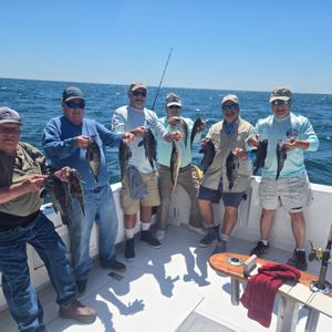 Summer Bites Heating Up on the Jersey Shore
