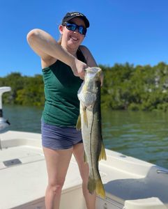 Snook Inshore fishing St. Petersburg, FL