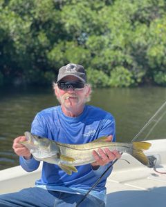 Fished Snook in St. Petersburg, Florida	