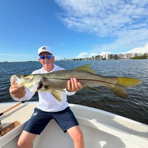 Strong Summertime Bite Across St. Petersburg