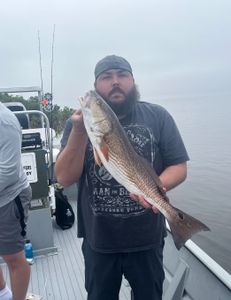 Great day out on the River. 
27 inch Redfish! 