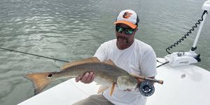 Redfish Action Rising as Speckled Trout Season Approaches