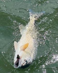 Fishing report for September and October