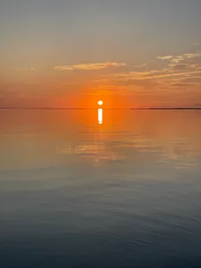 Summer Tarpon Fishing