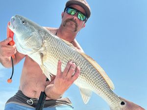 Redfish on the Move: Prime Sight-Casting Conditions on Suffolk's Shallow Flats
