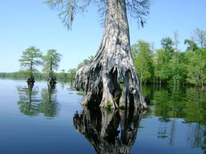 Top Things to Do in Virginia