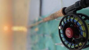 Saltwater Fly Fishing Charters Near Suffolk, VA