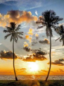 Top Things to Do in Naples, FL