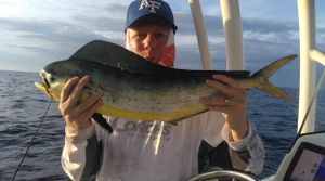 Panama City Mahi Mahi Fishing Charters | JP2Fish