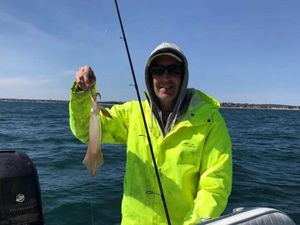 Sea Fishing Boston, Swordtip squid