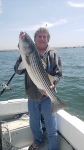 Boston Massachusetts Fishing Charters Striped Bass