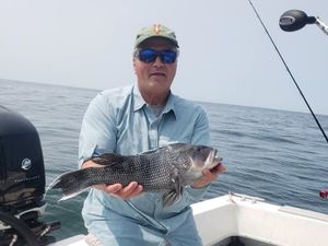 Boston Fishing Tour, Black Sea Bass