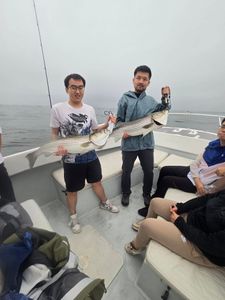 Unforgettable Action on the Bay