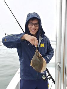 Boston Fishing Guide, Ridged-eye Flounder