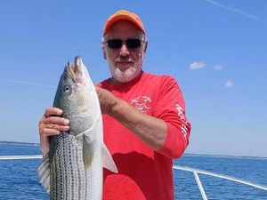 Boston Fishing Trips, Striped Bass
