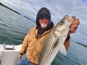 Fishing Charters Boston Massachusetts Striped Bass