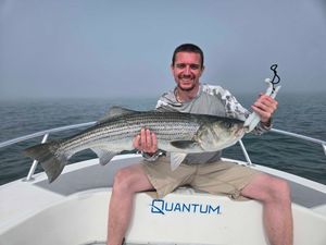 Stripers