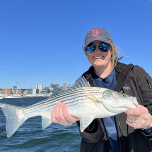Boston Fishing Tour, Striped Bass