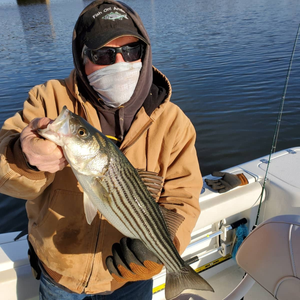 Boston Fishing Report 