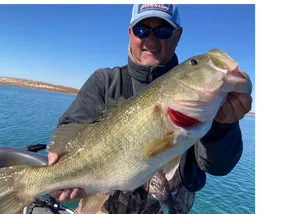Consistent Bass Action and Clear Water Conditions
