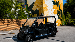 See the Best of the Sunshine City: St. Petersburg Mural Tours