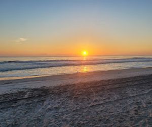 Top Things to Do in Jacksonville, Florida