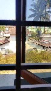 Voss Inshore Bass Testing: Full-Day Casting & Jigging Adventure