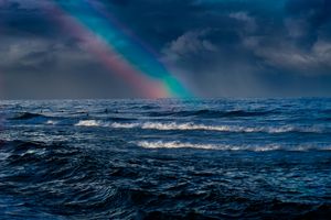 September Morning Dive: 2 Tanks on Destin Reefs and Wrecks