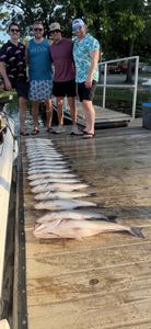 Consistent Striped Bass Action on Lake Murray