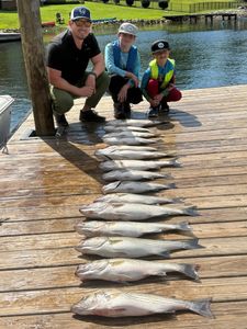 Still Catching Striped Bass – Weekday Trips Open