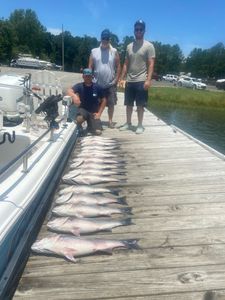 The best time for lake Murray Striper fishing! 