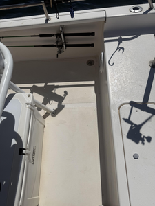 Striped Bass Frenzy on Lake Lanier: A Thrilling Angling Adventure