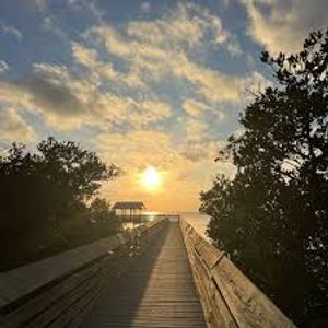 Top Things to Do in South Padre Island