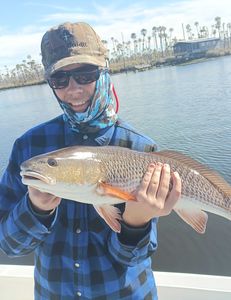 Hook, line, and Homosassa Redfish catch