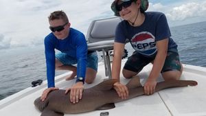 Nurse Shark Caught in Homosassa Waters