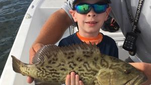 Gag Grouper from Florida