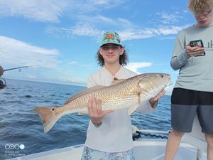 Catching for Redfish in Florida Waters