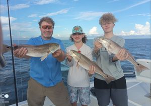 Couple of Redfish Species in FL
