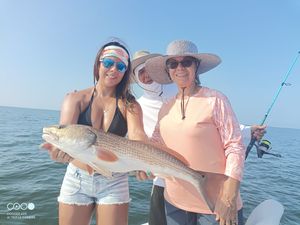Florida Dreams: Homosassa Fishing Charters