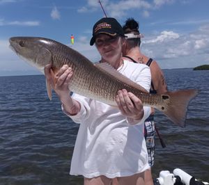 Ladies’ Team Scores Big with Redfish on 4-Hour Homosassa Trip