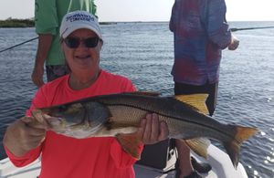 Double the Boats, Double the Fun