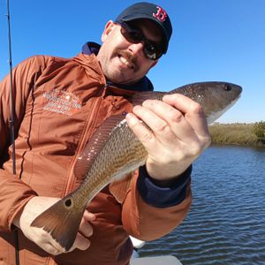 Steady Inshore Bite with Snook, Trout, Redfish, and Drum